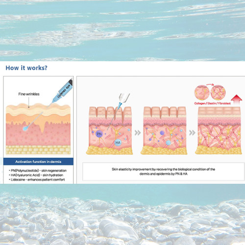 Diagram showing how Curenex Eye PN Salmon DNA treatment improves fine wrinkles, skin hydration, and elasticity by promoting collagen, elastin, and fibroblast activity in the dermis.